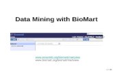 1 / 30 Data Mining with BioMart  .