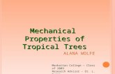 A LANA W OLFE Mechanical Properties of Tropical Trees Manhattan College – Class of 2009 Research Advisor – Dr. L. Evans.