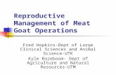 Reproductive Management of Meat Goat Operations Fred Hopkins-Dept of Large Clinical Sciences and Animal Science-UTK Kyle Rozeboom- Dept of Agriculture.