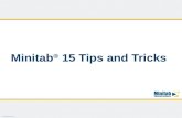 © 2008 Minitab, Inc. Minitab ® 15 Tips and Tricks.
