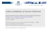 Vakgroep Informatietechnologie – Onderzoeksgroep IBCN Label scalability of Carrier Ethernet Benchmarking Carrier Ethernet Technologies Workshop Session.