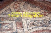 civitas tritiensium Tritium Magallum TRICIO (La Rioja)
