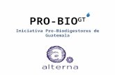 Iniciativa Pro-Biodigestores de Guatemala PRO-BIO GT.