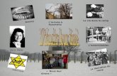 Larrivée à Auschwitz Drancy La vie dans le camp La libération du camp « Nous leur dirons » Historique Ida à Melle Lextermination.