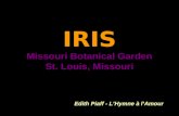 IRIS Missouri Botanical Garden St. Louis, Missouri Edith Piaff - LHymne à lAmour