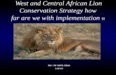 West and Central African Lion Conservation Strategy how far are we with implementation !! Par: Mr Saleh Adam 3/11/10.