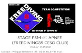 STAGE PSM et APNEE (FREEDIVING85 CESO CLUB) Club n° 03850300 Contact : Philippe Delahaye tél : 06.64.80.77.44 mail : delahaye.philip@free.fr.
