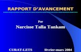 RAPPORT DAVANCEMENT Par Narcisse Talla Tankam CURAT-LETSfévrier-mars 2004