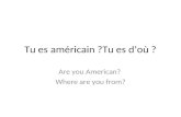 Tu es américain ?Tu es doù ? Are you American? Where are you from?