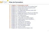 1 Plan de formation Chapitre 1 : Présentation de SAP Chapitre 1 : Présentation de SAP Chapitre 2 : Arrêt et démarrage dun système SAP Chapitre 3 : Configuration.