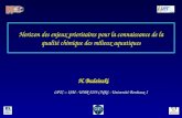 Horizon des enjeux prioritaires pour la connaissance de la qualité chimique des milieux aquatiques H. Budzinski LPTC – ISM - UMR 5255 CNRS - Université
