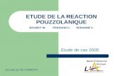 ETUDE DE LA REACTION POUZZOLANIQUE BOUBET M.PERSIANI C.SERANNE F. Etude de cas 2005 Encadré par Mr TORRENT.