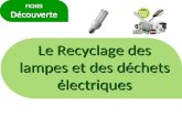 Le Recyclage des lampes et des déchets électriques