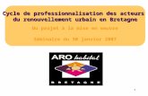 1 Cycle de professionnalisation des acteurs du renouvellement urbain en Bretagne Du projet à la mise en oeuvre Séminaire du 30 janvier 2007.
