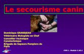 Le secourisme canin Dominique GRANDJEAN Vétérinaire Biologiste en Chef Conseiller Technique Cynotechnique Brigade de Sapeurs Pompiers de Paris CYN 1 –