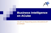 Business Intelligence en ACube OLAP et Reporting avec ACubeOLAP et GRaM.