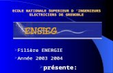 ECOLE NATIONALE SUPERIEUR D INGENIEURS ELECTRICIENS DE GRENOBLE Filière ENERGIE Année 2003 2004 présente: