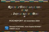 ROCHEFORT 16 novembre 2004 Bernard FONTAINE, Anne-Sophie BONNET AMEST LILLE R ISQUES T OXICOLOGIQUES DANS L I NDUSTRIE DU B OIS.