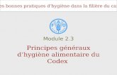 Les bonnes pratiques dhygiène dans la filière du café Principes généraux dhygiène alimentaire du Codex Module 2.3.