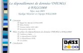 Le dépouillement de données THEMIS à BASS2000 Nice, mai 2005 Nadège Meunier et léquipe BASS2000 Contexte Rappel des objectifs de BASS2000 Bilan (Tarbes)