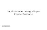 La stimulation magnétique transcrânienne Pomarès Germain Praud Jean-Noël.