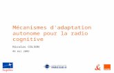 Mécanismes d'adaptation autonome pour la radio cognitive Nicolas COLSON 06 mai 2009.