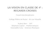 LA VISION EN CLASSE DE 4 E : REGARDS CROISES Travail interdisciplinaire Collège Pilâtre de Rozier - Ars-sur-Moselle Audrey Borr – SVT Stéphane Capizzi.