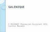 GALENIQUE F MICHENOT Pharmacien Assistant CHIC Castres Mazamet.