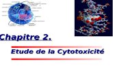 Etude de la Cytotoxicité Etude de la Cytotoxicité Chapitre 2.