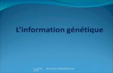S. LHOTE BIOLOGIE FONDAMENTALE - IFSI. Objectifs de la séquence Savoir localiser le matériel génétique Savoir définir lADN Savoir définir un gène Connaître.