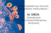 Une maladie qui touche le système immunitaire : le SIDA (Syndrome dImmunoDéficience Acquise)