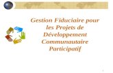 1 Gestion Fiduciaire pour les Projets de Développement Communautaire Participatif.