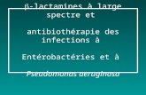 -lactamines à large spectre et antibiothérapie des infections à Entérobactéries et à Pseudomonas aeruginosa.