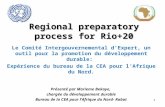 Regional preparatory process for Rio+20 Le Comité Intergouvernemental dExpert, un outil pour la promotion du développement durable: Expérience du bureau.