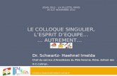 JIQHS 2012 – LA VILLETTE, PARIS 26 &27 NOVEMBRE 2012 LE COLLOQUE SINGULIER, LESPRIT DEQUIPE… … AUTREMENT… Dr. Schwartz- Haehnel Imelda Chef du service.