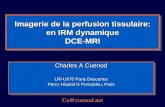 Imagerie de la perfusion tissulaire: en IRM dynamique DCE-MRI Charles A Cuenod LRI-U970 Paris Descartes Parcc Hôpital G Pompidou, Paris Charles A Cuenod.