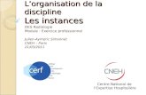 Lorganisation de la discipline Les instances DES Radiologie Module : Exercice professionnel Julien-Aymeric Simonnet CNEH – Paris 21/03/2011 Centre National.