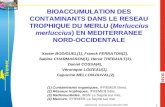 L f r e m e r ANR-ECCO, Toulouse 3-5 décembre 2007 1 BIOACCUMULATION DES CONTAMINANTS DANS LE RESEAU TROPHIQUE DU MERLU (Merluccius merluccius) EN MEDITERRANEE.