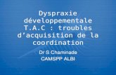 Dyspraxie développementale T.A.C : troubles dacquisition de la coordination Dr S Chaminade CAMSPP ALBI Dr S Chaminade CAMSPP ALBI.