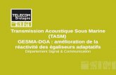 Transmission Acoustique Sous Marine (TASM) GESMA-DGA : amélioration de la réactivité des égaliseurs adaptatifs Département Signal & Communication.