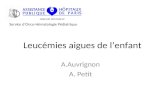 Leucémies aigues de lenfant A.Auvrignon A. Petit ARMAND-TROUSSEAU Service dOnco-Hématologie Pédiatrique.
