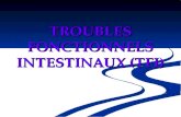 TROUBLES FONCTIONNELS INTESTINAUX (TFI). TFI Classification de ROME II : Classification de ROME II : Syndrome de lintestin irritable (SII) Syndrome de.