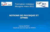 Formation Initiateur Mougins mars 2011 Fabrice DUPRAT daprès le cours de Jean-luc SCESA NOTIONS DE PHYSIQUE ET APNEE.