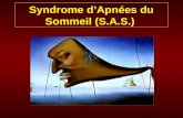 Syndrome dApnées du Sommeil (S.A.S.). Pas de question dinternat retrouvé au programme 2004.