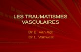 LES TRAUMATISMES VASCULAIRES Dr E. Van Agt Dr L. Vanwest Dr L. Vanwest.