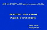 2009-10 : DU HIV et IST en pays à ressources limitées HEPATITES VIRALES B et C Diagnostic et suivi biologiques Michel Branger Virologie Bichat.