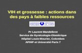VIH et grossesse : actions dans des pays à faibles ressources Pr Laurent Mandelbrot Service de Gynécologie-Obstétrique Hôpital Louis-Mourier, Colombes.