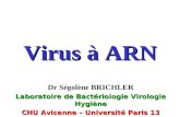 Virus à ARN Dr Ségolène BRICHLER Laboratoire de Bactériologie Virologie Hygiène CHU Avicenne – Université Paris 13.
