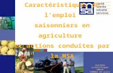 Journées scientifiques SMSTO VANNES 24 avril 2008 Caractéristiques de lemploi saisonniers en agriculture et actions conduites par la MSA.