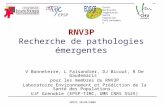 SMTDS 20/06/2008 RNV3P Recherche de pathologies émergentes V Bonneterre, L Faisandier, DJ Bicout, R De Gaudemaris pour les membres du RNV3P Laboratoire.